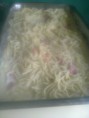 Spaguetti Alfredo